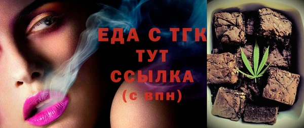 МДПВ Пересвет