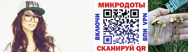 что такое Балахна Галлюциногенные грибы MAGIC MUSHROOMS